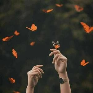 Meet your Posher, Ruaa